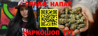 прущие грибы Комсомольск-на-Амуре