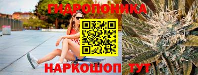 прущие грибы Комсомольск-на-Амуре
