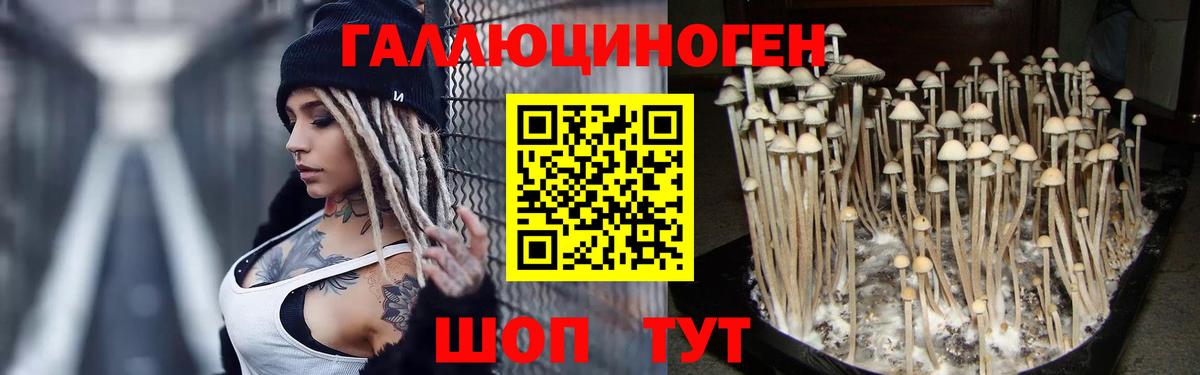 Кисловодск  Псилоцибиновые грибы GOLDEN TEACHER  Галлюциногенные грибы мицелий  Вход с VPN 