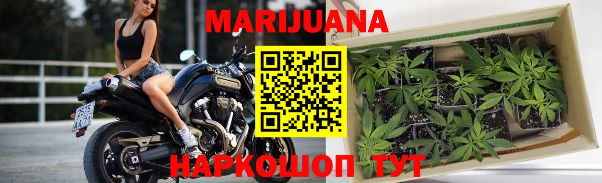 Канабис семена  Бошки марихуана Ganja  Кисловодск  Вход с VPN  Шишки марихуана MAZAR 